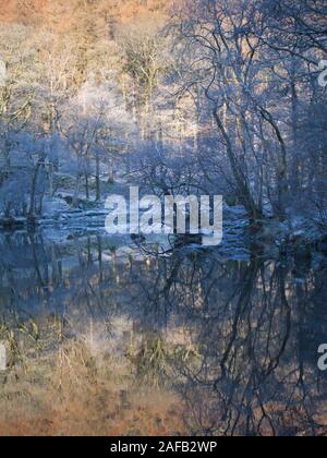 Riflessioni di alberi sul fiume Derwent con trasformata per forte gradiente frost legare gli alberi su una giornata invernale e in Borrowdale, nel distretto del lago, Cumbria, Inghilterra. Foto Stock