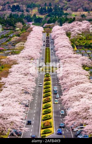 Fuji Reien cimitero, Shizuoka, Giappone in primavera. Foto Stock
