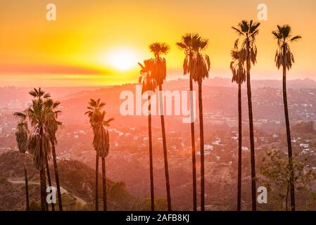 Griffith Park, Los Angeles, California, Stati Uniti d'America al tramonto. Foto Stock