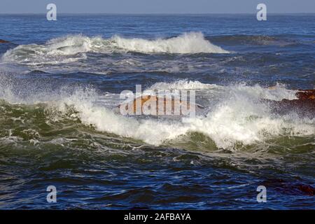 Vedere stuermische an den Felsen von Bird Island, Lamberts Bay, Western Cape, Westkap, Suedafrika, Afrika Foto Stock