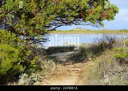 Vista sul lago di Thetis in Nambung National Park, una soluzione salina lago costiere con stromatolites in Cervantes, Australia occidentale Foto Stock