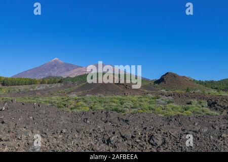 Il Teide e Montaña Blanca vulcani, con canarian verde foresta di pini e il paesaggio vulcanico e cielo blu, Tenerife, Isole canarie, Spagna Foto Stock