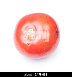Rovinato il pomodoro isolato su sfondo bianco, fungo con stampo su vegetali Foto Stock