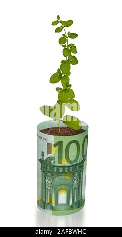 Coltivazione di piante da euro bill Foto Stock