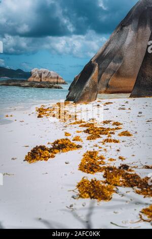 Unico enormi massi di granito ad Anse Source d'Argent beach, La Digue, Seicelle Foto Stock