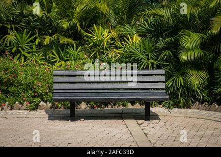 Banco di vuoto nel parco - panca in legno nel giardino tropicale Foto Stock