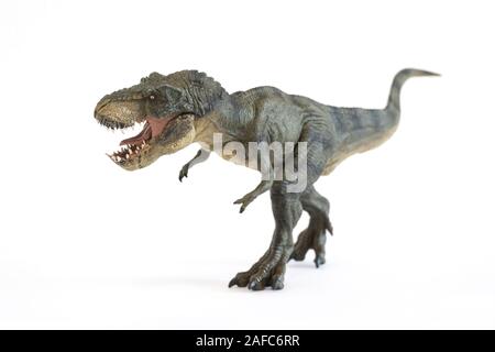 Ritratto di un camminare Tyrannosaurus rex con bocca aperta isolata su sfondo bianco Foto Stock