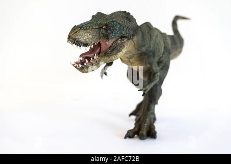 Ritratto di un camminare Tyrannosaurus rex con bocca aperta isolata su sfondo bianco Foto Stock