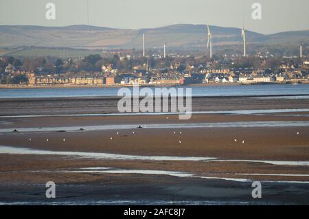 Vista sul fiume Tay dalla foresta Tentsmuir, Fife, Scozia Foto Stock