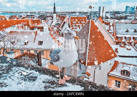 Classic vista iconico di Tallinn vecchia città cityscape skyline dalla piattaforma di osservazione con popolari locali seagull Foto Stock