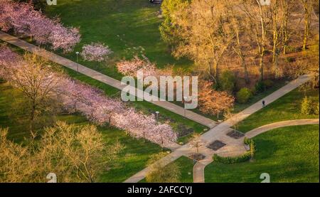 , Foto aerea, fiore avenue a Herne città giardino, Parkhotel Herne, Beete, Herne, la zona della Ruhr, Renania settentrionale-Vestfalia, Germania, DEU, Europa, uccelli-occhi Foto Stock