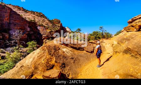 Attiva donna Senior escursionismo il Canyon Overlook Trail nel Parco Nazionale di Zion, Utah, Stati Uniti Foto Stock