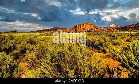 Nuvole scure su Red montagne di arenaria visto dalla Terrazza Kolob strada a 8.000 ft altitudine dell'altopiano di Kolob nel Parco Nazionale di Zion,UT Foto Stock