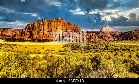 Nuvole scure su Red montagne di arenaria visto dalla Terrazza Kolob strada a 8.000 ft altitudine dell'altopiano di Kolob nel Parco Nazionale di Zion,UT Foto Stock