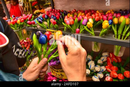 Amsterdam, Olanda, Agosto 2019. Il mercato dei fiori è un attrazione per i turisti. Una varietà di bulbi di tulipani sono disponibili. Il Tulipano in legno è una sposa perfettamente Foto Stock