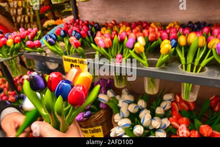 Amsterdam, Olanda, Agosto 2019. Il mercato dei fiori è un attrazione per i turisti. Una varietà di bulbi di tulipani sono disponibili. Il Tulipano in legno è una sposa perfettamente Foto Stock