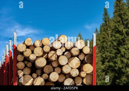 Close-up di un camion che trasportano tronchi di legno di alberi di pino in montagna, Alpi italiane, Trentino Alto Adige, Italia Europa Foto Stock