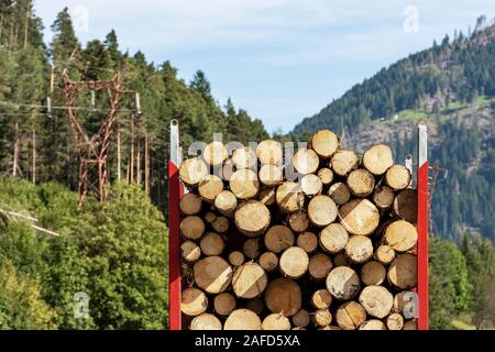 Close-up di un camion che trasportano tronchi di legno di alberi di pino in montagna, Alpi italiane, Trentino Alto Adige, Italia Europa Foto Stock