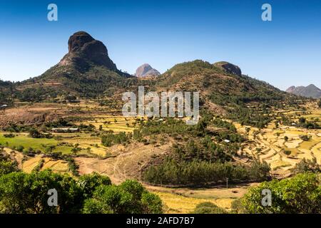 Etiopia, Tigray, Adwa, campi agricoli al momento del raccolto tra drammatico paesaggio vulcanico accanto ad Axum di Adigrat autostrada Foto Stock