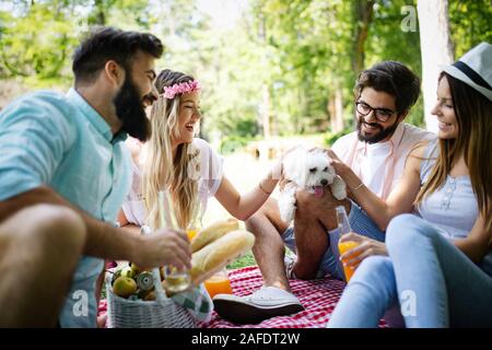 Estate, vacanze, la musica e il tempo libero concetto. Gruppo di amici hanno picnic all'aperto. Foto Stock