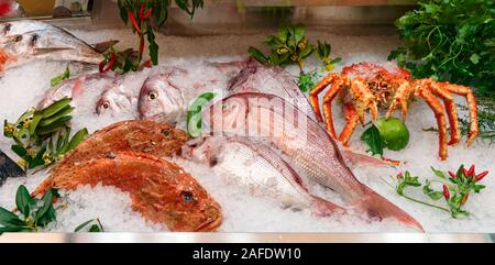 Pesce crudo e crostacei su iced supermercato display Foto Stock