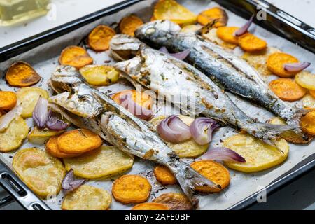 Pesce al forno Bluefish con patate dolci sul vassoio da forno con la carta da forno Foglio / Lufer. Frutti di mare. Foto Stock