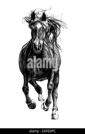 Disegnata a mano a cavallo e disegna la grafica illustrazione in bianco e nero su sfondo bianco (originali, senza tastatura) Foto Stock