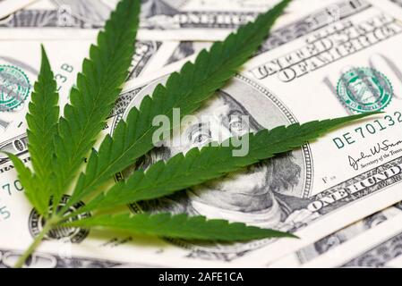 La Cannabis marijuana medica sulla foglia di banconote da cento dollari. Un foglio di marijuana per denaro, dollari e la cannabis, un legale e del mercato nero di business. Foto Stock
