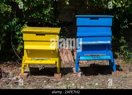 L'apicoltura. Alveari colorati Foto Stock
