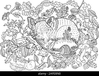 Carino sleeping fox tra foglie, dadi, di funghi, di fiori e di frutti di bosco. Ambiente, natura, foresta, piante. Disegnata a mano illustrazione. Libro da colorare pagina Illustrazione Vettoriale