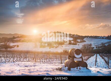 Vigneti righe coperta di neve in inverno al tramonto e botti di vino. Chianti Campagna, Siena, Toscana, Italia Foto Stock