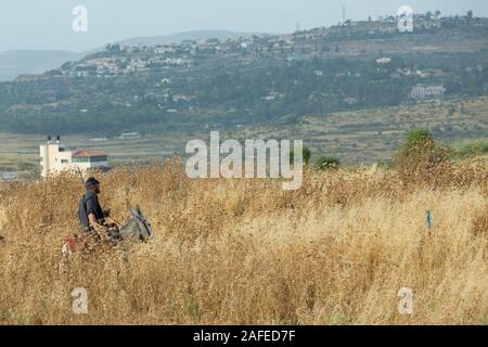 Palestinesi residenti in un campo sassoso infestati da erbacce di secco e spine fotografato in Cisgiordania vicino Gidi Junction Palestina / Israele Foto Stock