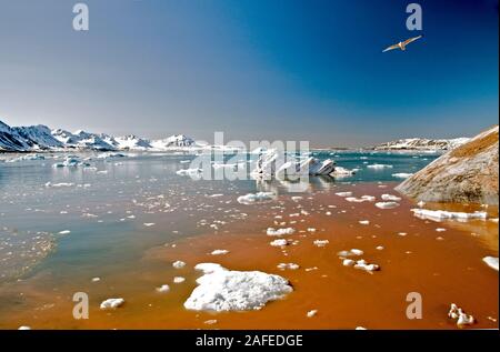 Scenario da Kings fiordo (Kongsfjorden) in west Spitsbergen Svalbard nel giugno 2008. Foto Stock