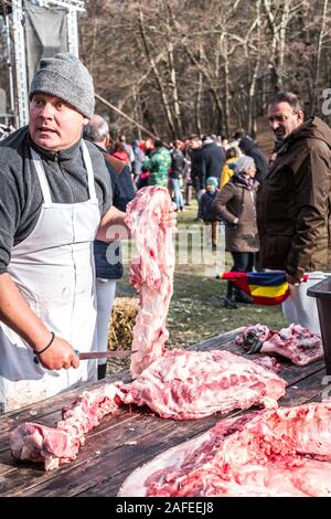 Sibiu, Romania - 14 dicembre 2019. Macellerie la macellazione di un suino seguenti la tradizione rumena prima di Natale Foto Stock