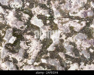 Sfondo di pietra e muschio. Tuapse, Mar Nero, Caucaso Foto Stock