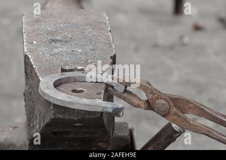 Il fabbro tenere un ferro di cavallo di ferro con una pinza, la forgiatura sull'incudine. Foto Stock