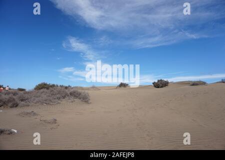 Maspalomas dune di sabbia, Gran Canaria, Spagna Foto Stock