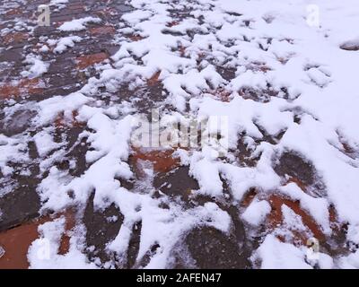 Pollo Orme nella neve in inverno Foto Stock
