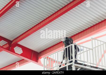 La telecamera video videocamera in stadium per fare sport o di notizie in diretta TV Foto Stock