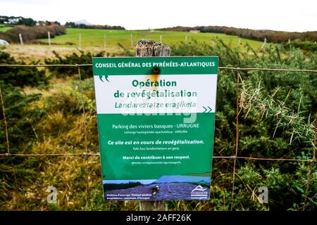 La rivegetazione test zone, Corniche d'Urugne, Urugne, Pyrénées-Atlantiques, Francia Foto Stock