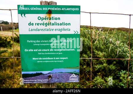 La rivegetazione test zone, Corniche d'Urugne, Urugne, Pyrénées-Atlantiques, Francia Foto Stock