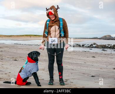 Donna e Labrador cane in costumi di Natale sulla spiaggia, North Berwick, East Lothian, Scozia, Regno Unito Foto Stock