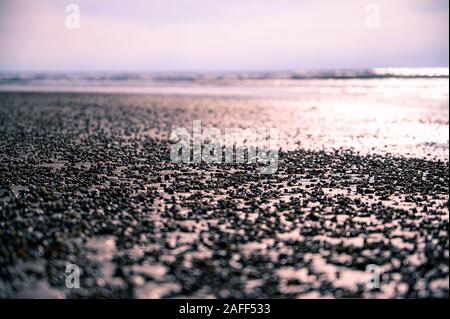 Un closeup della riva in spiaggia con un mazzo di conchiglie e ciottoli lavati sulla sabbia Foto Stock