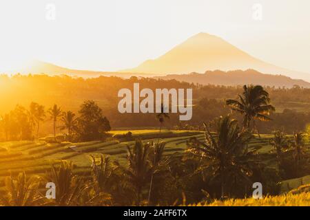 Incredibile caldo arancio tramonto sul famoso Jatiluwih terrazzi di riso e Gunung Agung volcano view. Meta turistica molto landmark in Bali. Benvenuto a Bali il concetto di viaggio. Foto Stock