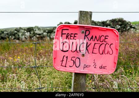 Free range uova di anatra in vendita segno. Foto Stock