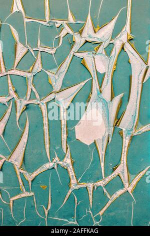 La texture della vecchia di rottura della carta in pvc sul muro di cemento. Green incrinato membrana protettiva con bordi intrecciati con oro lato sbagliato. Danneggiato parete peeling co Foto Stock