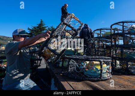 Attività di pesca del granchio equipaggio sono il granchio di carico intrappola a Pilastro punto porto di Half Moon Bay, in California, negli Stati Uniti il 15 dicembre 2019. Commerciale stagione di granchio a sud della contea di Mendocino ha aperto a 12:01 a.m. Domenica, 15 dicembre 2019, secondo il dipartimento della California di pesci e fauna selvatica. Una consulenza sanitaria che era stata rilasciata per Dungeness granchi catturati ricreativo tra Shelter Cove e il punto Arena, a causa della elevata quantità di acido domoic, è stato sollevato il giorno precedente dalla California Dipartimento di Sanità Pubblica. (Foto di Yichuan Cao/Sipa USA) Foto Stock