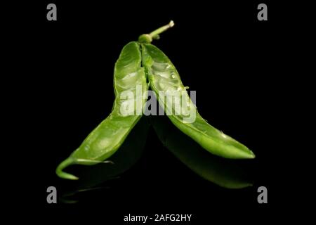 Gruppo di due metà di snap bean verde bean isolato sul vetro nero Foto Stock