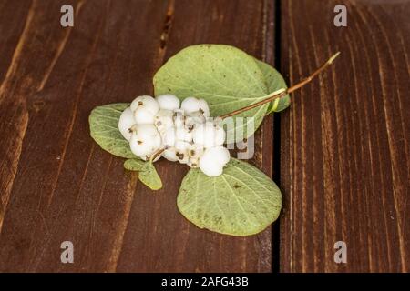 Sacco di bianco intero snowberry cluster su legno marrone Foto Stock