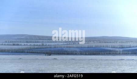 Pechino, Cina. 15 Dic, 2019. La foto mostra il paesaggio invernale della Hulun Buir pascoli nel nord della Cina di Mongolia Interna Regione Autonoma, Dic 15, 2019. Credito: Bei egli/Xinhua/Alamy Live News Foto Stock